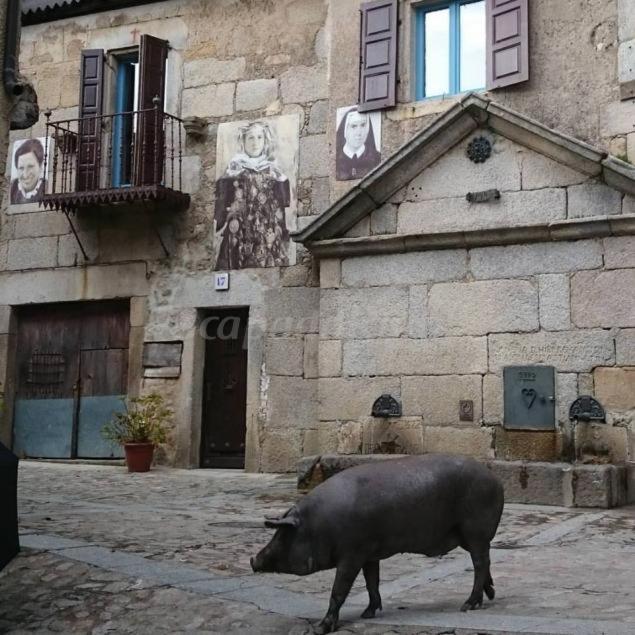 מוגאראז Casa Rural Amparo מראה חיצוני תמונה